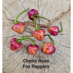 CHEIRO ROXA
